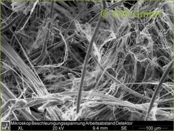 SEM-picture of chrysotile asbestos in flat gaskets, grommets