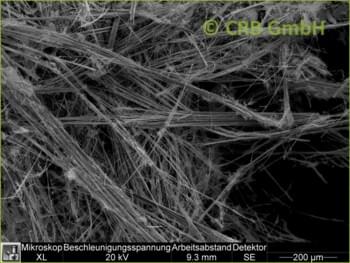 SEM-picture of amphibole asbestos, amosite in sprayed asbestos, loose fill asbestos fibres