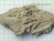 Kieselgur, Diatomeenerde