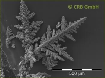 Dendrites from iron-manganese oxides