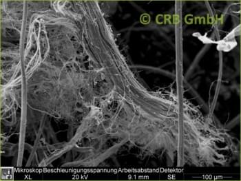 SEM-picture of chrysotile asbestos in Promabest