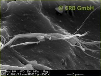SEM-picture of chrysotile asbestos in brown-black bituminous glues