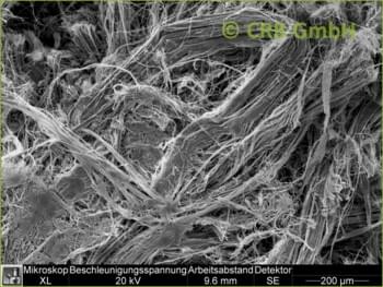 SEM-picture of chrysotile asbestos in cushioned vinyl