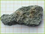Magnesite-floor, Xylolite